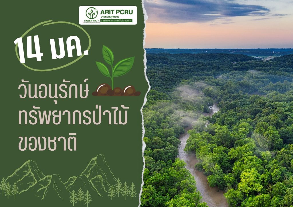 14 มกราคม วันอนุรักษ์ทรัพยากรป่าไม้ของชาติ