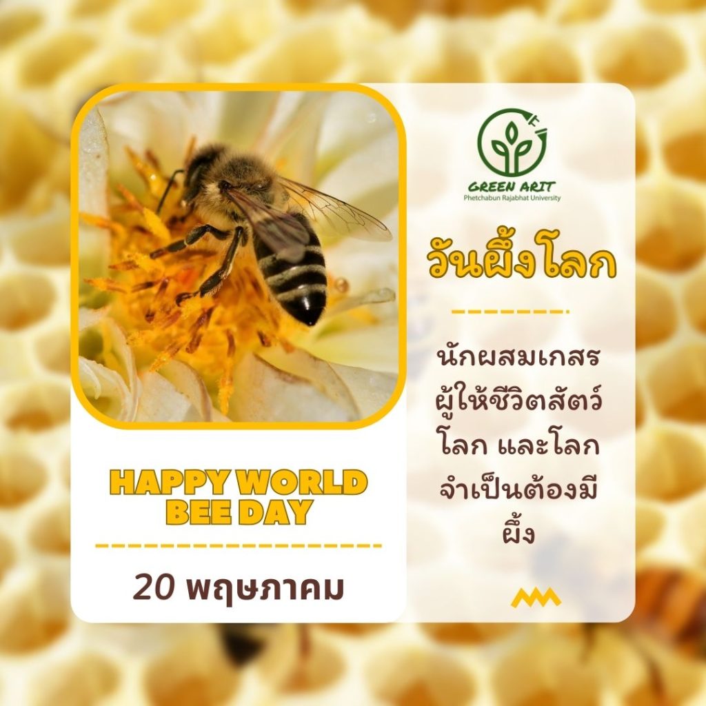 20 พฤษภาคม วันผึ้งโลก (World Bee Day)
