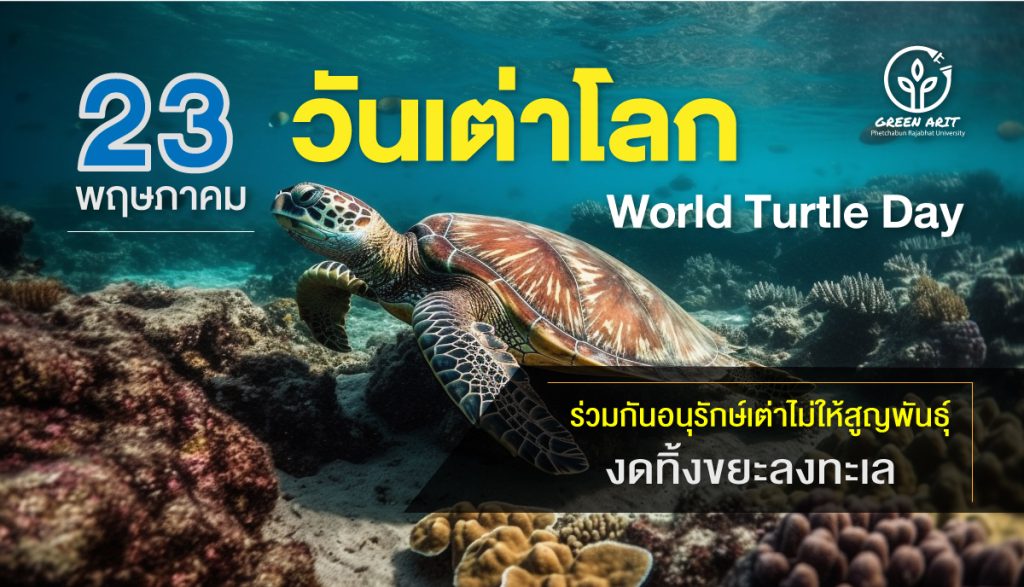 23 พฤษภาคม วันเต่าโลก (World Turtle Day)