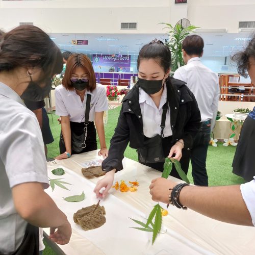 ผ้ายอม (21)