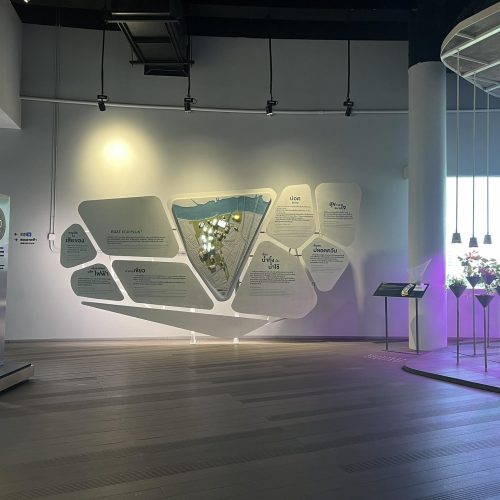 พัฒนาเครือข่ายห้องสมุดสีเขียว ครั้งที่ 10 ประจำปี 2567 (8)